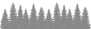 2trees